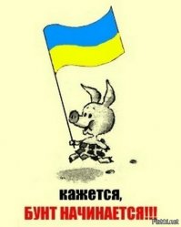 Фотожабы на истерику Саманты Пауэр