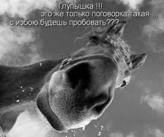 Прикольные картинки для настроения