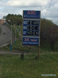 Прикольные картинки для настроения