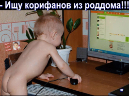 Прикольные картинки для настроения