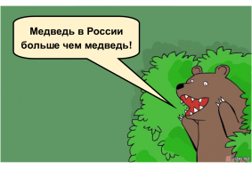 Медведь в России больше чем медведь