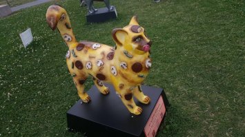 Какая то новая Корейская порода?