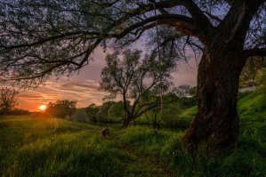 Веревка с петлей? Надеюсь это не предсмертное фото?