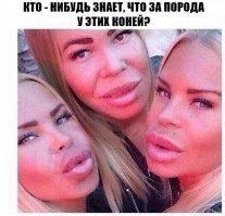 Прикольные картинки для настроения