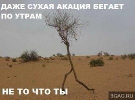 Мотивирующие фотографии, которые заставят вас бегать по утрам