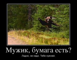 Голодные медведи у дороги на севере Сахалина