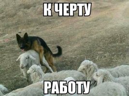 Предлагаю немного юмора