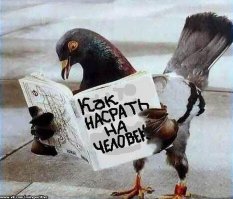 Для хорошего настроения утром