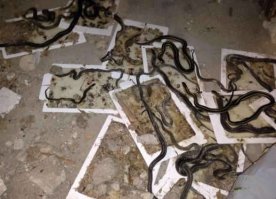 Я бы пожалуй переехал в другой райончик! =(