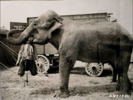 16 фотографий, поражающих своей странностью