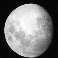 Пффф! Fujifilm FinePix F80 EXR + МС рубинар 4,5/300 макро