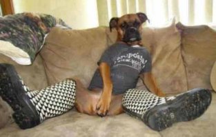 12 раз, когда фото оказалось лучше тысячи слов