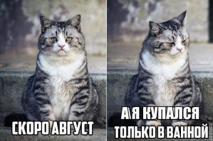 Смешные картинки из соц.сетей