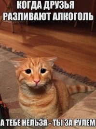 Смешные картинки из соц.сетей