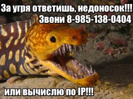 Смешные картинки с подписями 
