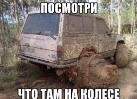 Кажется там медведя намотало