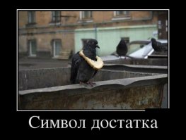 Кардио делает, голубь за здоровый образ жизни