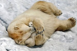 Молодец. Спасибо тебе за жизнь ребенка. Вообще заметно что сибиряки не задумываются и спасают, а не тормозят с телефоном в руке, перебирая: полиция скорая мчс. Не думая о себе лови незнакомую девочку, травмируйся, но спаси.