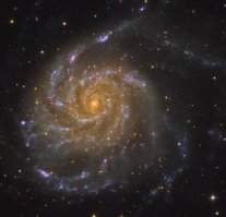 Он покажет такое