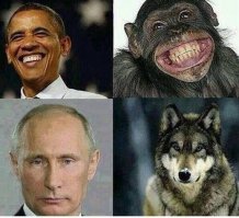 19 забавных фактов об Олимпиаде, которых вы, скорее всего, не знали