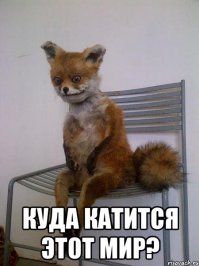 Нелёгкая судьба зоофила