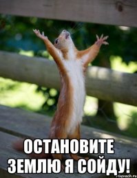 Нелёгкая судьба зоофила
