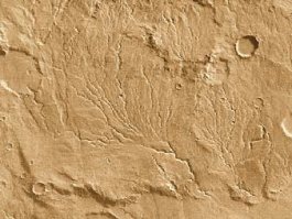 С орбиты:
-Викинг-1, 2;
-Фобос-2;
-Global Surveyor;
-Марс Одиссей;
-Марс Экспресс;
-Mars Reconnaissance Orbiter;
-Мангальян;
-MAVEN.
На поверхности:
-Викинг-1, 2;
-Pathfinder;
-Феникс;
-Спирит;
-Оппортьюнити;
-Кьюриосити.
Хватит, или старенькие "Марсы" и "Маринеры" с пролётными аппаратами добавить?
Дельты и русла рек хорошо видно? А то там ниже ещё в комментариях видно лёд и капельки воды на посадочных опорах "Феникса", если чо