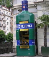 Бутылочный дом Владимира Сысы