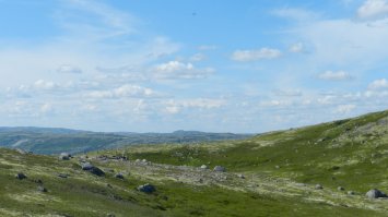 В июле ездил далеко за Полярный круг в Териберку. Неделю жили в тундре в палатках, адская жара 30+ и тысячи тысяч мух, которые не просто пьют кровь, а пытаются откусить кусок тела)) Жара ппц, а раздеться невозможно, облепляют тут же, вообщем условия жесткие, но увиденное стоило того.