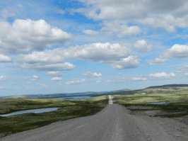 В июле ездил далеко за Полярный круг в Териберку. Неделю жили в тундре в палатках, адская жара 30+ и тысячи тысяч мух, которые не просто пьют кровь, а пытаются откусить кусок тела)) Жара ппц, а раздеться невозможно, облепляют тут же, вообщем условия жесткие, но увиденное стоило того.