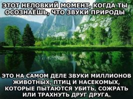 15 реальных животных, про которых можно снимать фильмы ужасов