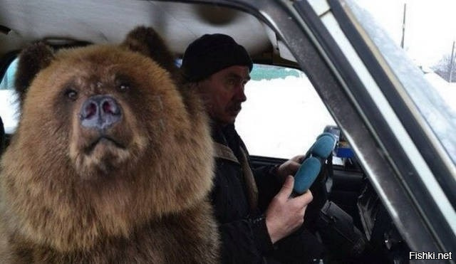 Это сдача экзамена в ГИБДД, я правильно понял?