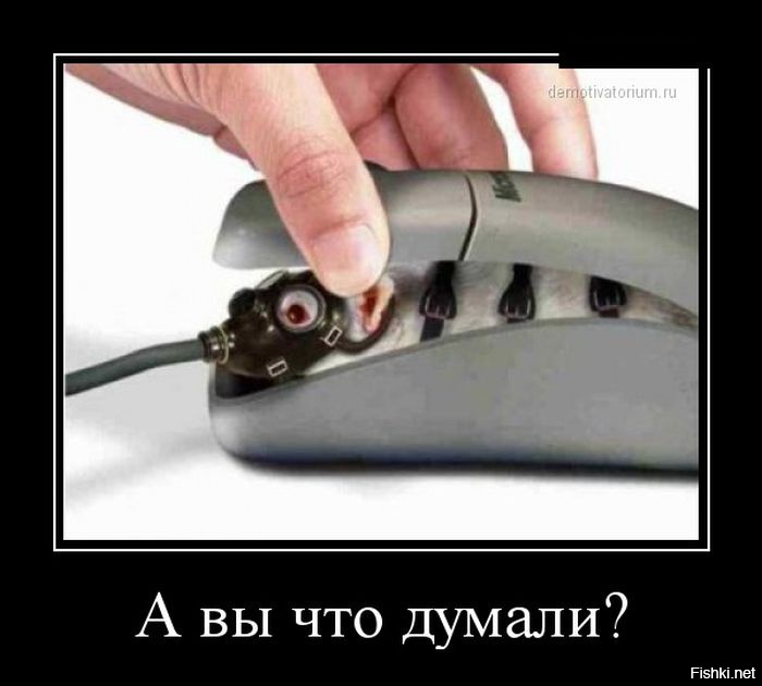 Неожиданный сосед