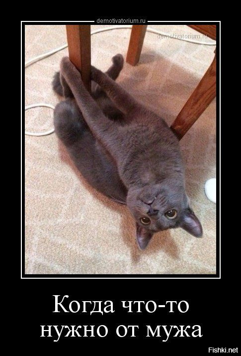 Когда быт просто заел!