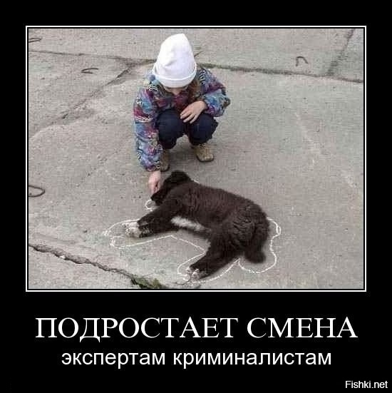 Животные, которые живут с детьми, попадают в рай без очереди