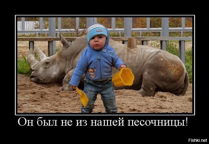 Животные, которые живут с детьми, попадают в рай без очереди