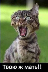 Девушки 70-х