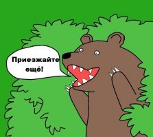 Голодные медведи у дороги на севере Сахалина