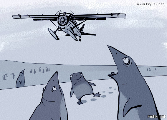 Когда работа действительно в радость 