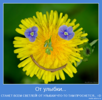 Позитив улыбнуло. Побольше таких прикольчиков.