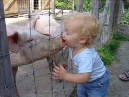 Немного позитива ;)