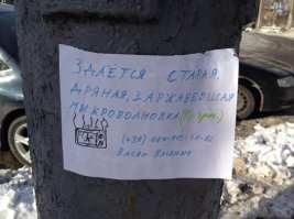 Да не оскудеет рука дающего: чего только не отдают даром люди!