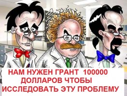 Почему утята ходят за мамой гуськом, а цыплята нестройной гурьбой