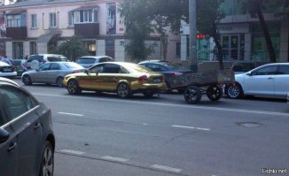 А это Краснодар. Кавказский традиции, смешавшиеся с московской наглостью и северными деньгами.