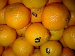Что марокканцу хорошо, то русскому не понять