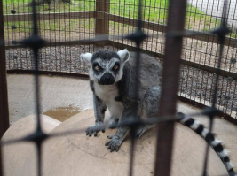 Вот сейчас досчитаю до 10, узбагоюсь и тебе кранты.