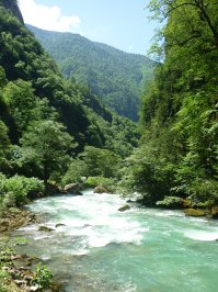Вернулись из Гагры три недели назад, ездили на машине. Под беспредел местных гаишников не попали, хотя на улицах их много, как мне показалось - они в отличие от наших, не кошмарят водителей, спрятавшись за знаком, или останавливая и обнюхивая всех подряд, а следят за организацией движения. С кишечными инфекциями мы не столкнулись, но знакомые на этой неделе вернулись из Адлера, тоже на эту херню жаловались. Жили в 150 м от моря в минигостинице, в номере - душ, туалет, кондиционер, телевизор, новая мебель, свежий ремонт, общая кухня, цена - 1500 рублей, можно снять гораздо дешевле. Пообедать вдвоем в столовой - 600 -700 рублей; нормально поужинать в кафе 1000-1200 руб. Цены на продукты в магазинах практически такие же как у нас в Саратове, сигареты дороже, алкоголь дешевле. Многие  пишут про дорогой алкоголь, мы покупали  вино "Апсны", "Лыхны" очень приличное, рядом с домом по 200 руб за бутылку. Это конечно дороже, чем краснодарский порошковый винный напиток в трехлитровых коробках, но такого там не продают и по-моему цена для вина адекватная. С неброжелательностью со стороны местных тоже ни разу не столкнулись, нам абхазы показались добрыми, гостеприимными людьми. В комментах много написано про воровство, этого тоже не видели, наоборот, много раз наблюдали, что местные не запирают машины и не закрывают стекла, когда куда-то выходят, в наших краях такого никогда не видел. Природа выше всяких похвал, Гагра утопает в тропической зелени, очень живописные горы. Ощущения разрухи, как у многих здесь, у нас не осталось, да изредка встречаются брошенные здания, но общего впечатления они нам не испортили. Много написано про грязные пляжи: пляж на который ходили мы (рядом с санаторием "Мидэль") был чистым, убирали регулярно, народа немного.  Короче, нам понравилось.