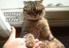 30 позитивных картинок, которые скрасят ваш рабочий день