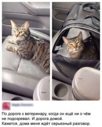 30 позитивных картинок, которые скрасят ваш рабочий день