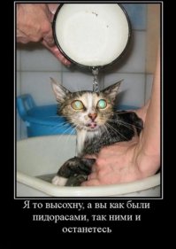 30 позитивных картинок, которые скрасят ваш рабочий день